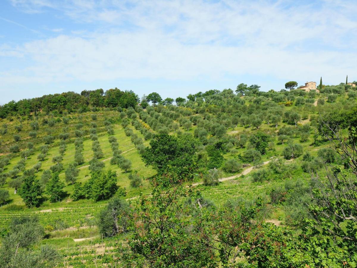 Holiday Home Poggio Velluto By Interhome Seggiano Ngoại thất bức ảnh